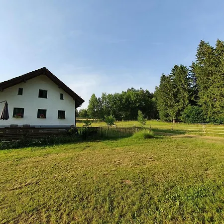 Am Dachsberg, Bayerischer Wald Διαμέρισμα Haselbach