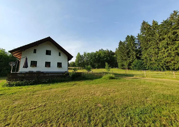 Am Dachsberg, Bayerischer Wald Διαμέρισμα Haselbach