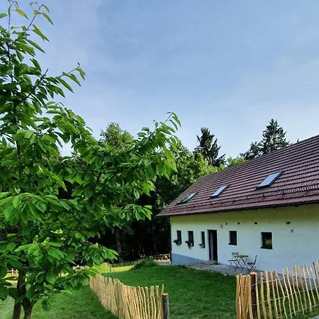 Am Dachsberg, Bayerischer Wald Haselbach